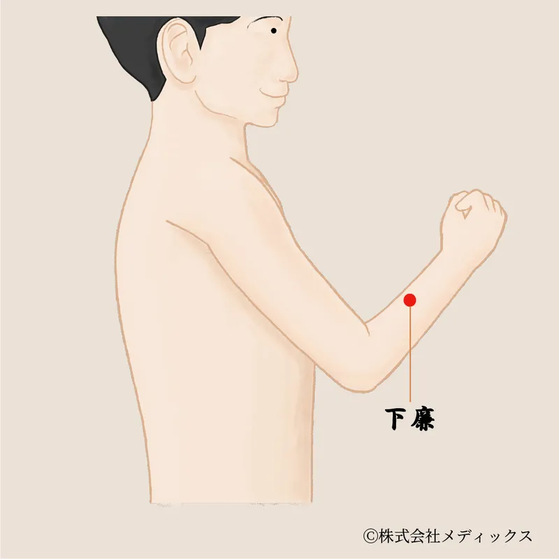 【下廉】腕から手の巡りを整える気血の通り道のツボ