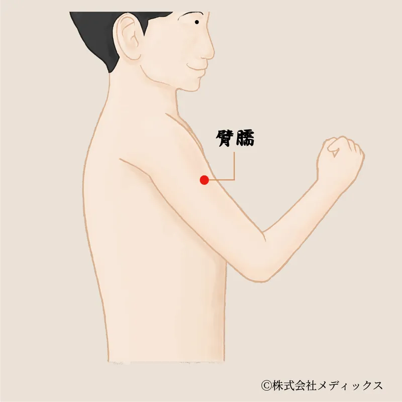 【臂臑】肩や腕の痛みを和らげる重要なツボ