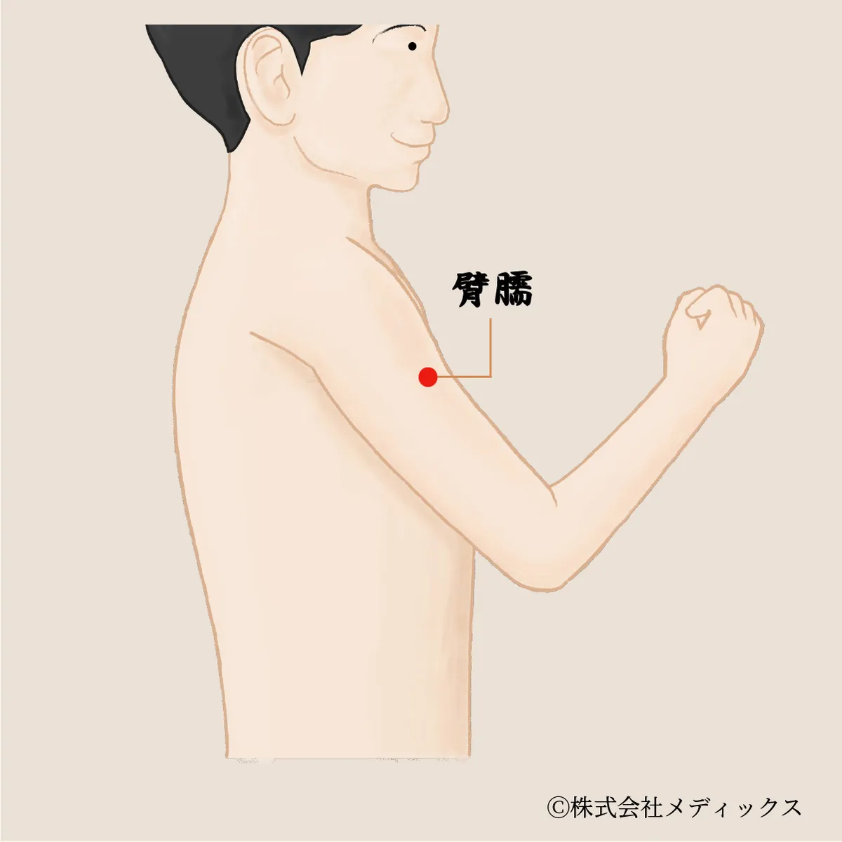 【臂臑】肩や腕の痛みを和らげる重要なツボ