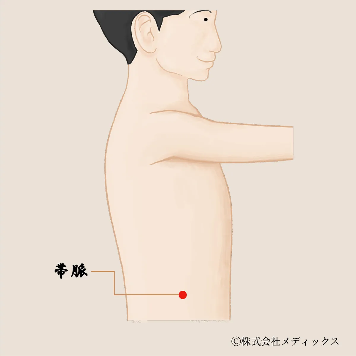 【帯脈】体幹のめぐりと婦人科系の不調を整えるツボ