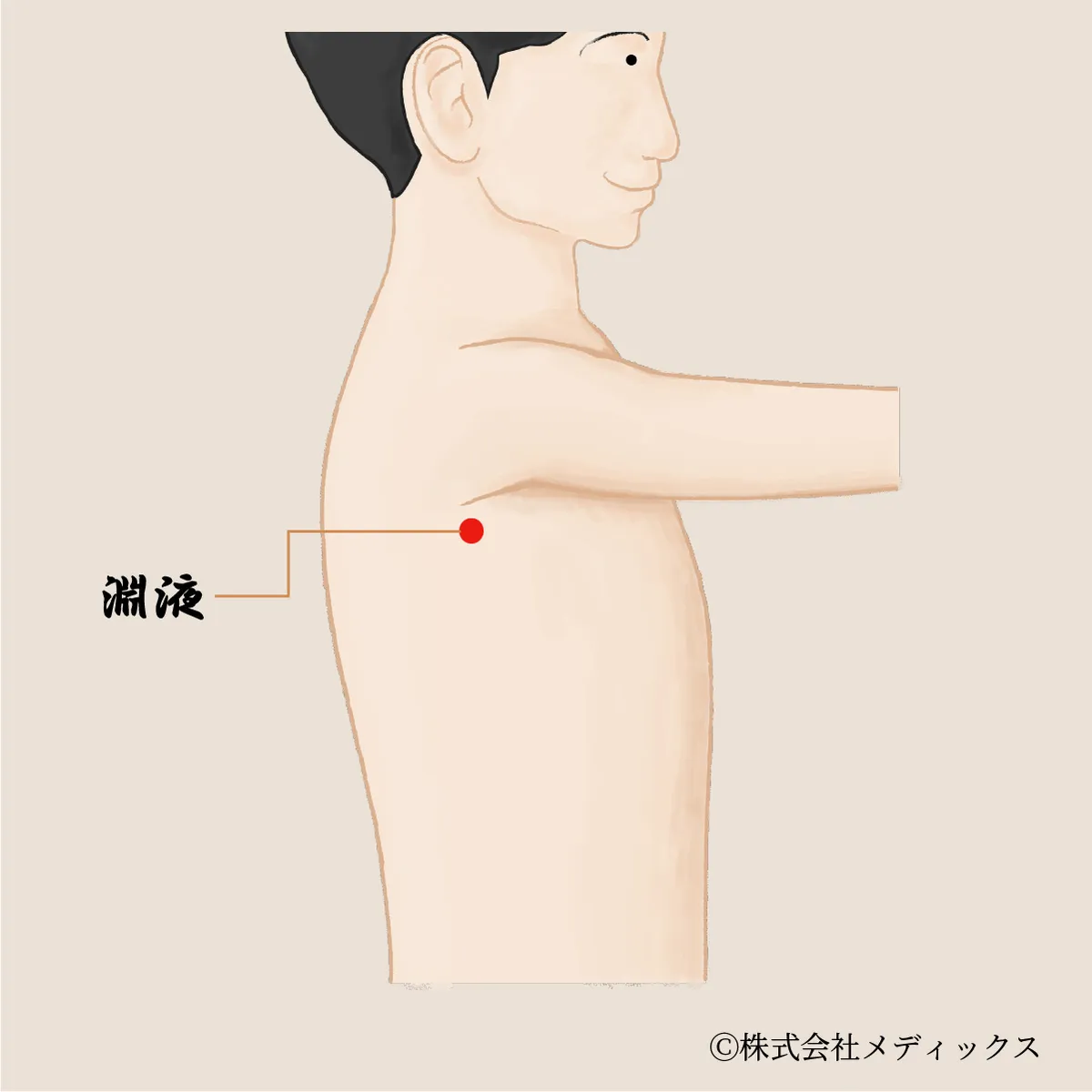 【淵液】胸側の気血を整える胆経の重要なツボ