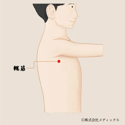 【輒筋】脇の緊張と胸脇部の痛みをほぐす胆経の調整ツボ
