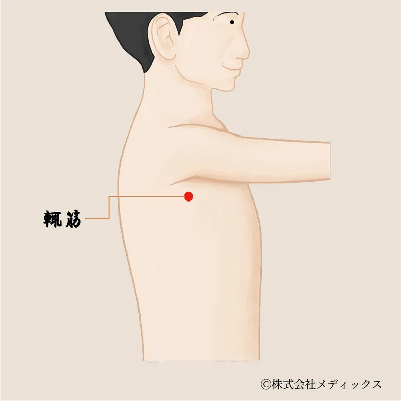 【輒筋】脇の緊張と胸脇部の痛みをほぐす胆経の調整ツボ