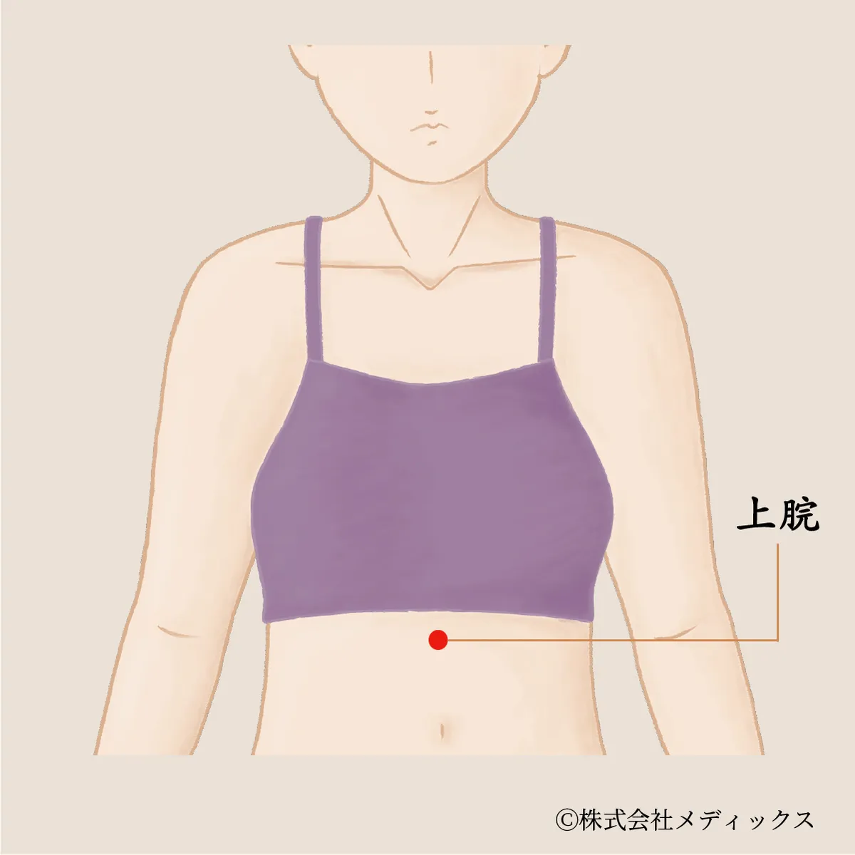 【上脘】胃の不快感と胸やけを鎮める消化のツボ