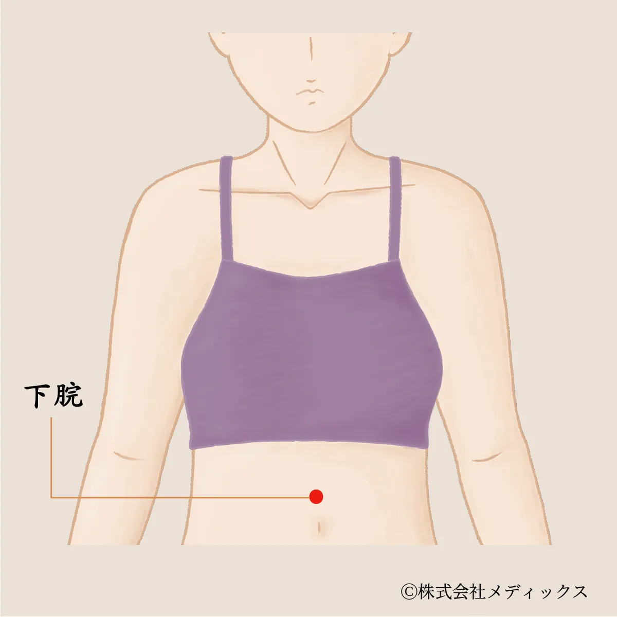 【下脘】みぞおちの不快感と胃腸の働きを整えるツボ