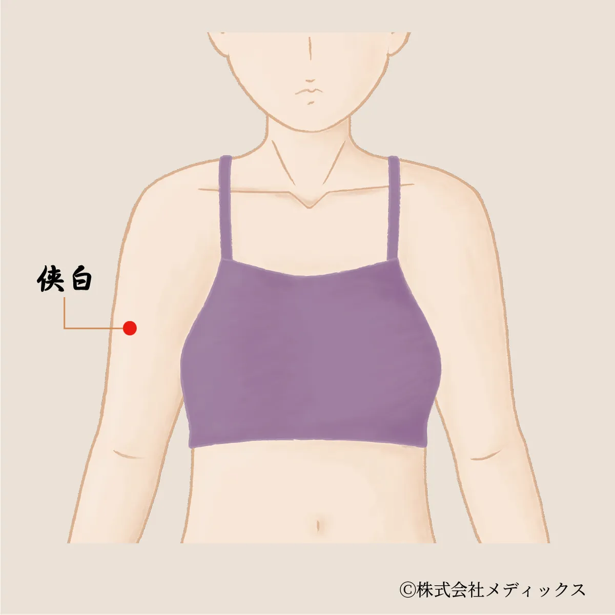 【侠白】呼吸器系と上肢の不調を改善する重要なツボ