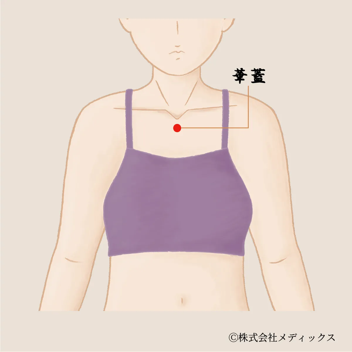【華蓋】胸上部の詰まりと呼吸を整える穏やかなツボ