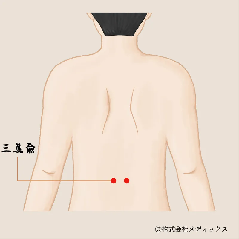 【三焦兪】代謝と体温を整える重要なツボ