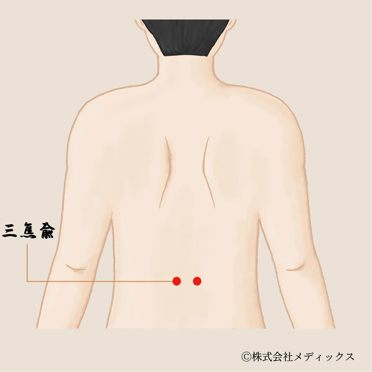 【三焦兪】代謝と体温を整える重要なツボ