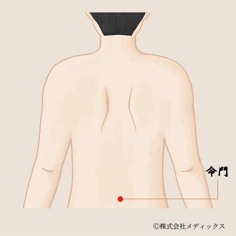 【命門】生命力を高める背中の重要なツボ