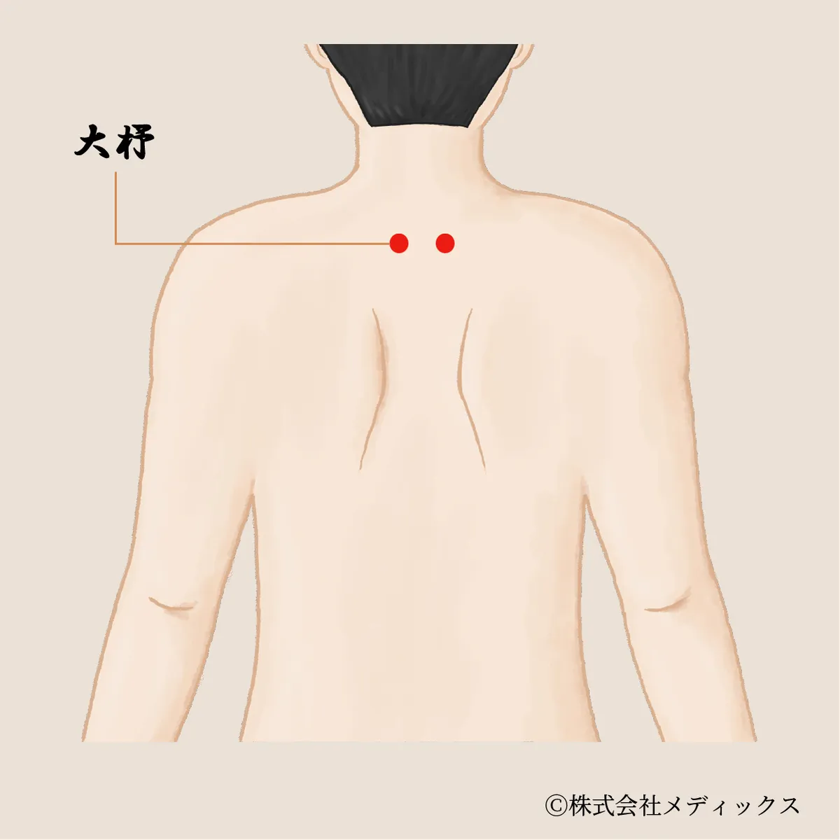 【大杼】背中のこわばりと呼吸をゆるめるツボ