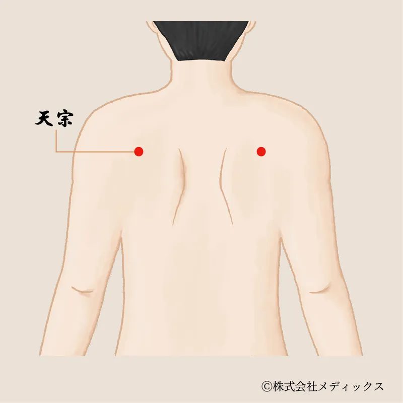 【天宗】肩こりと胸部の不調を緩和する重要なツボ