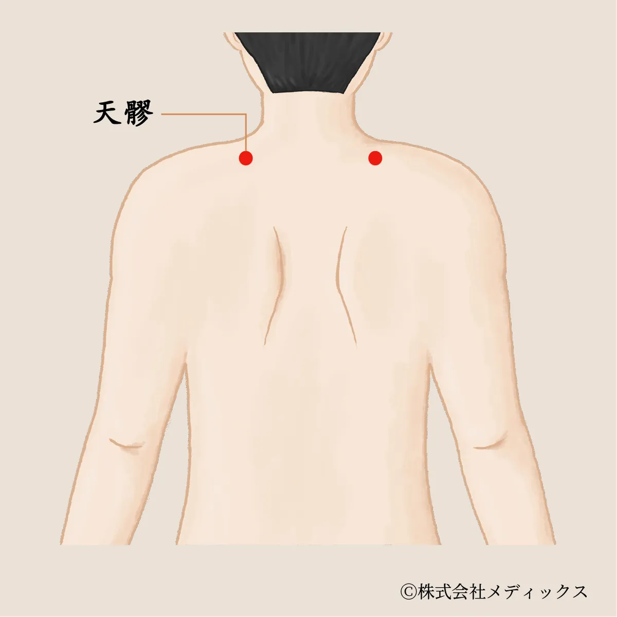 【天髎】肩上部のこわばりと呼吸の巡りを整えるツボ