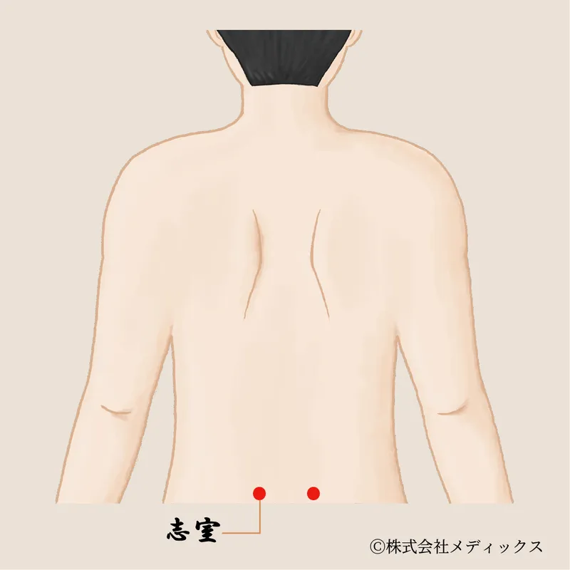 【志室】腎の力を支え、生命力を養う要のツボ