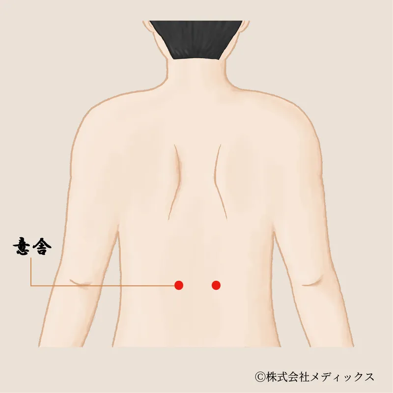 【意舎】脾と心をつなぎ、心身の安定をもたらすツボ