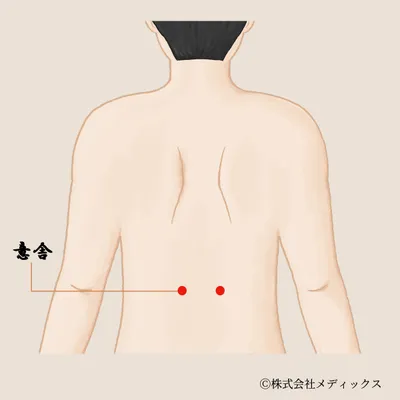 【意舎】脾と心をつなぎ、心身の安定をもたらすツボ
