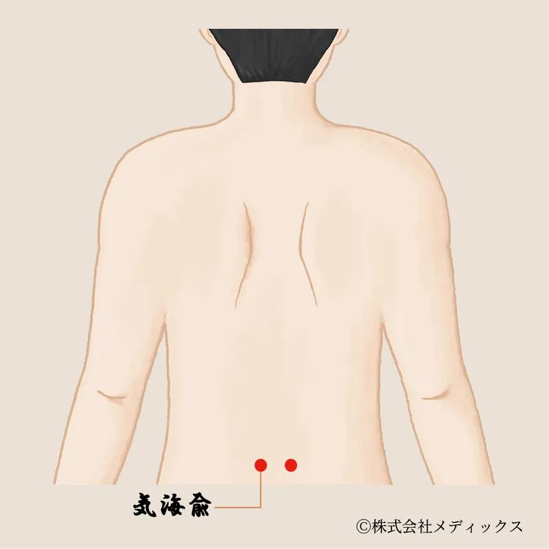 【気海兪】元気と巡りを整える背中のツボ