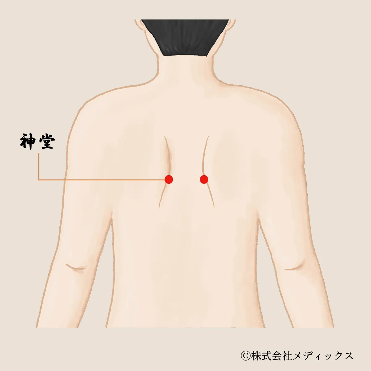 【神堂】胸のつかえを和らげ、心を穏やかにするツボ