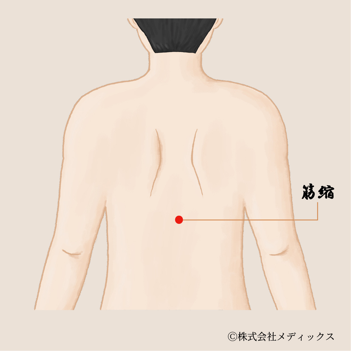 自律 神経 背中 の 痛み