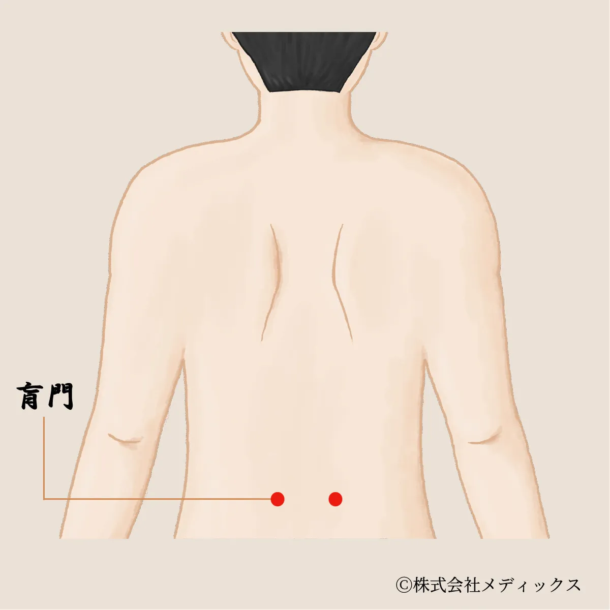 【盲門】腰から内臓へ働きかける深層のツボ