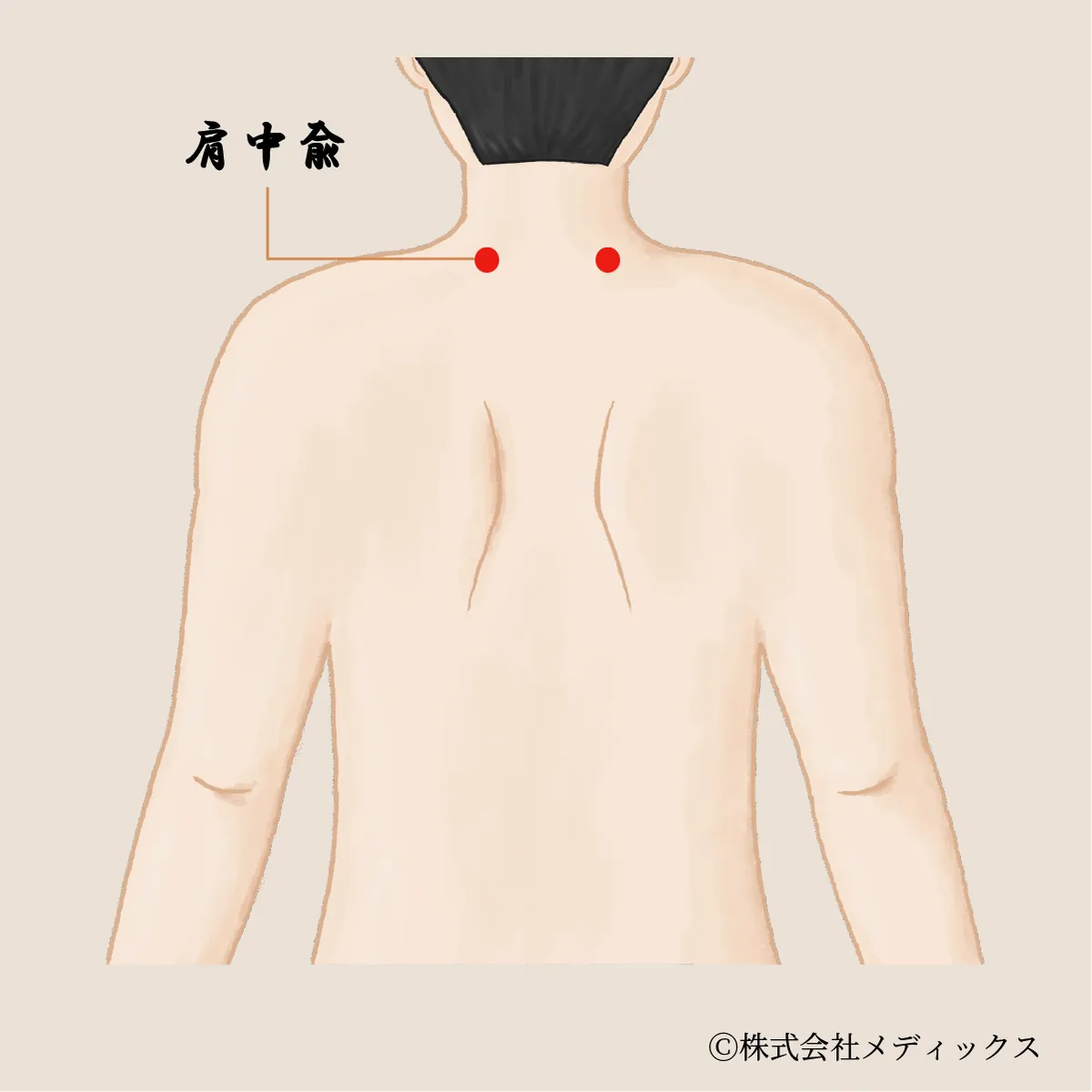 【肩中兪】肩の痛みと肩こりを緩和する効果的なツボ