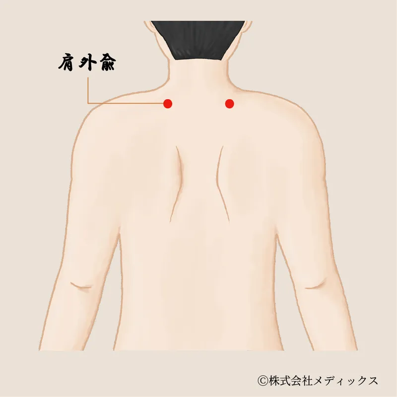 【肩外兪】肩の痛みと可動域を改善する重要なツボ