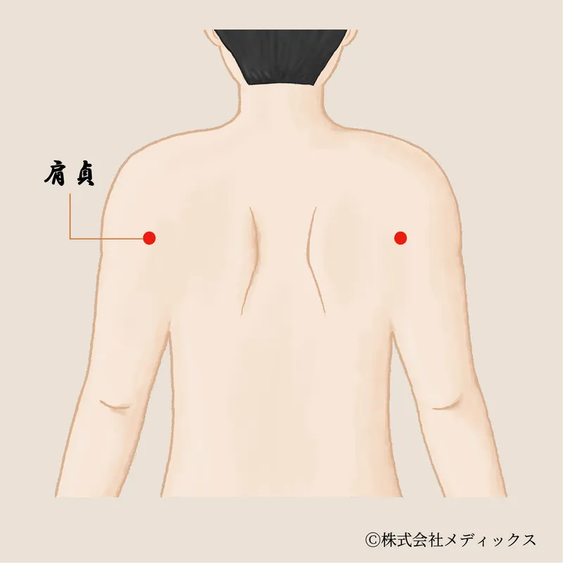 【肩貞】肩の痛みを緩和し可動域を広げる重要なツボ