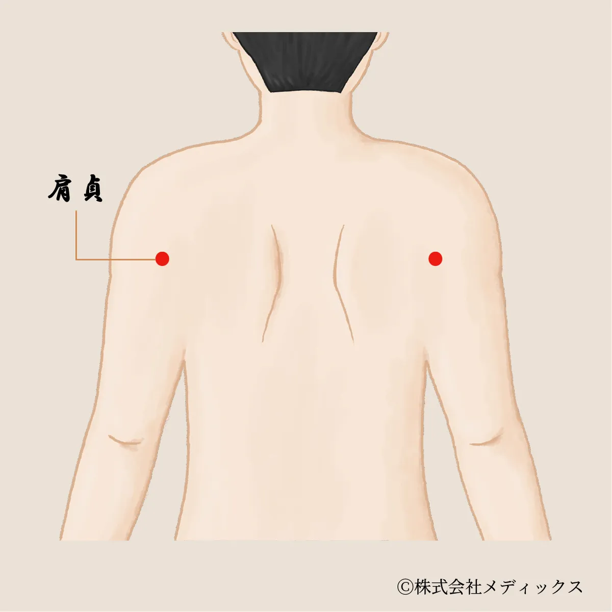 【肩貞】肩の痛みを緩和し可動域を広げる重要なツボ