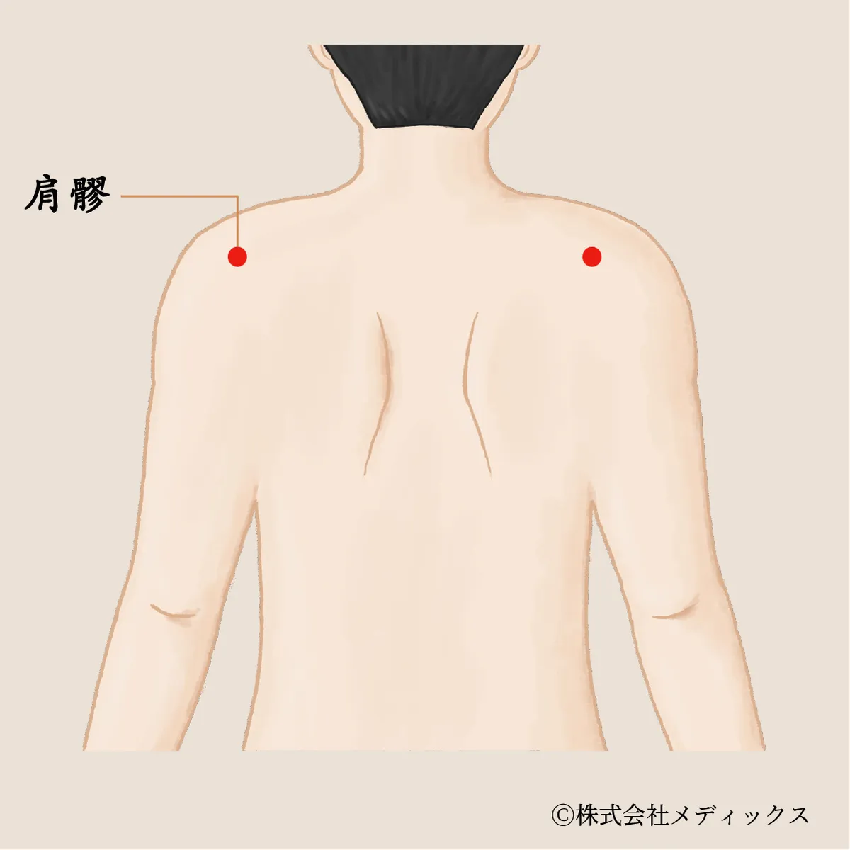 【肩髎】腕と肩のこわばりをゆるめる動きの要ツボ