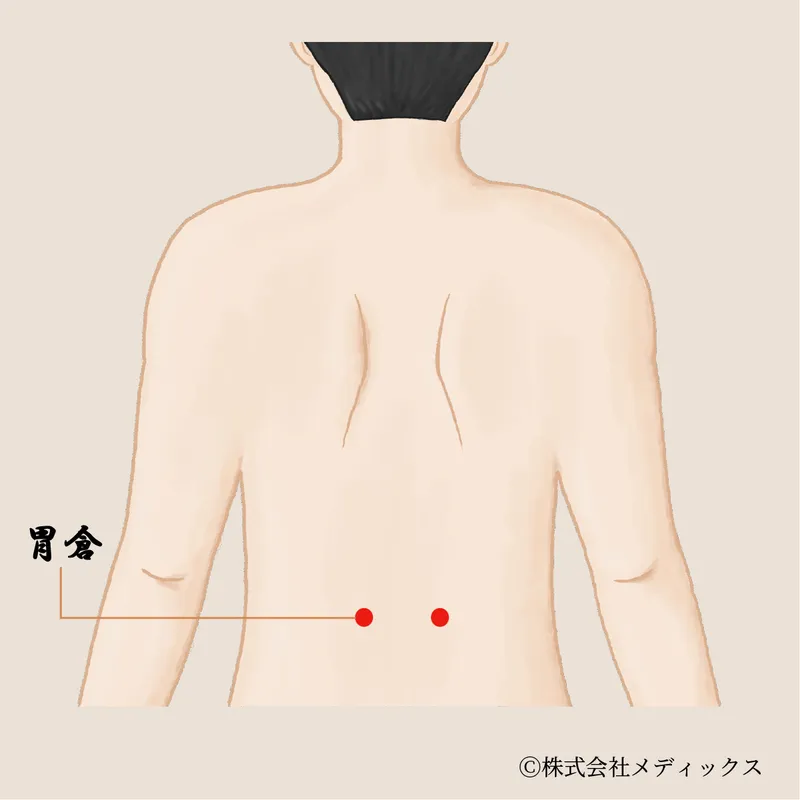 【胃倉】胃の働きを助け、消化を整える背中のツボ