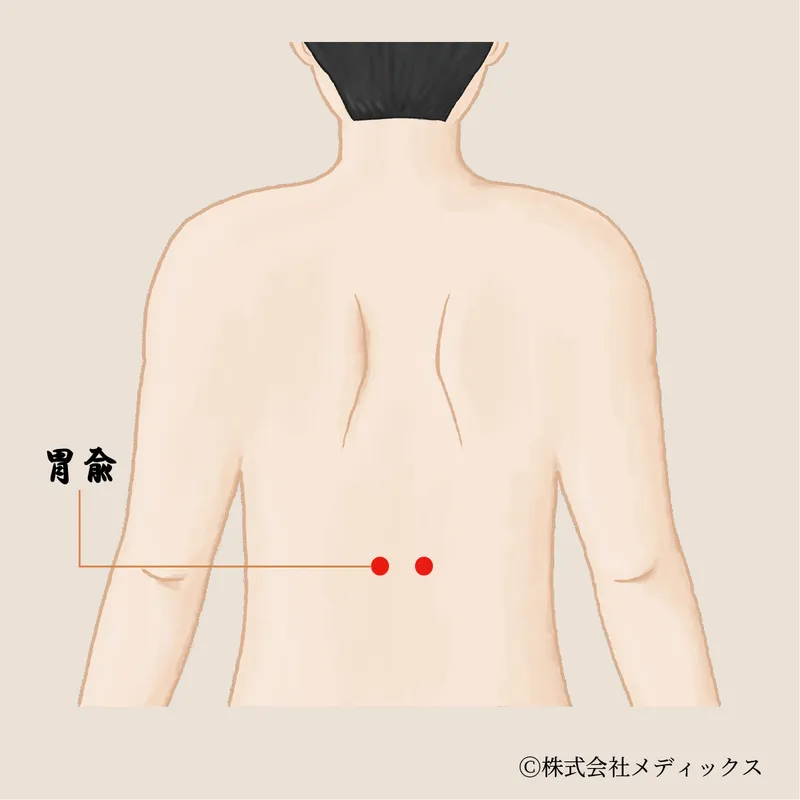 【胃兪】胃の機能を整える重要なツボ