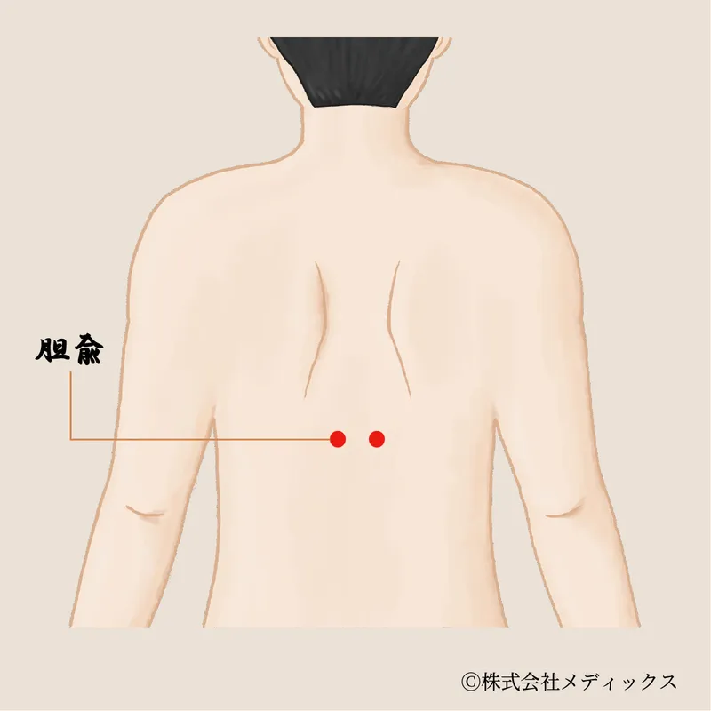 【胆兪】胆の働きを整える重要なツボ