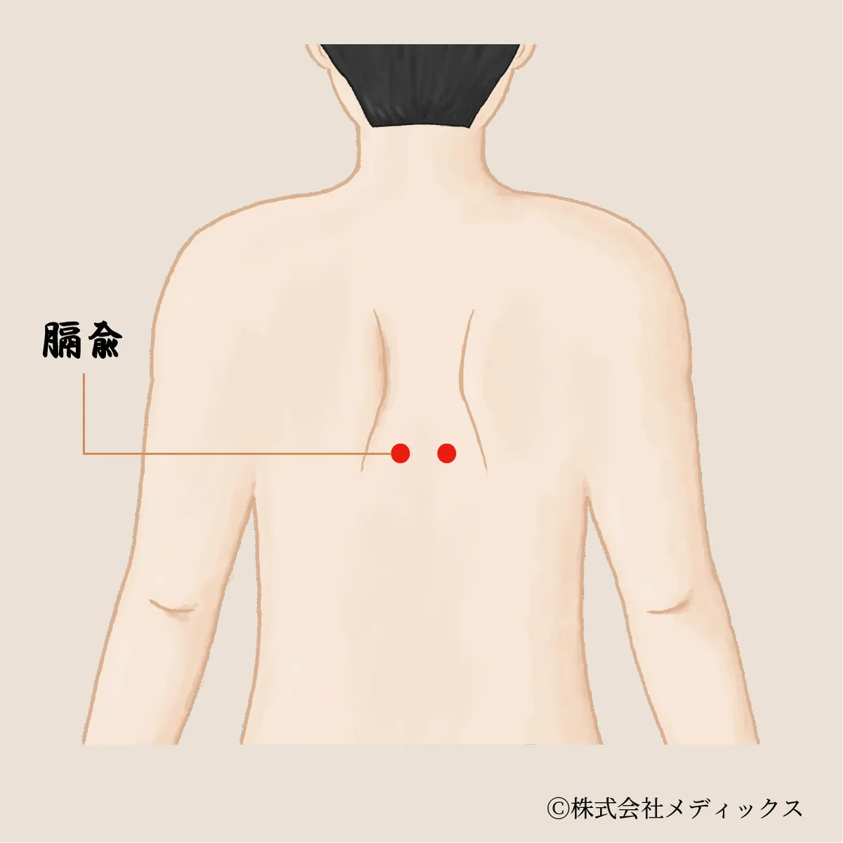 【膈兪】血の巡りを整え、感情の滞りもほどく要のツボ