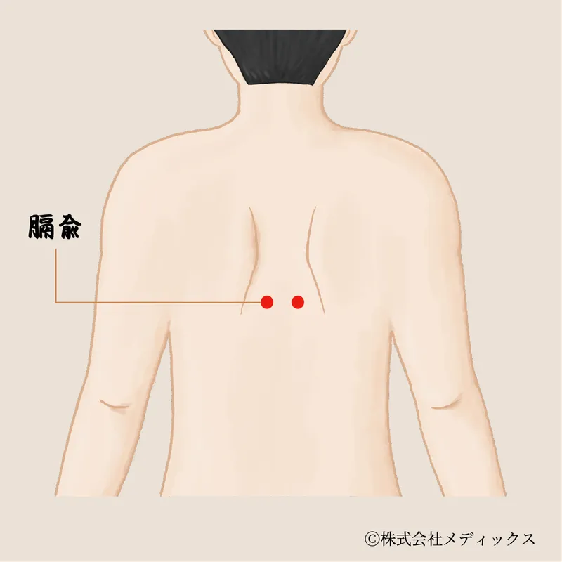【膈兪】血の巡りを整え、感情の滞りもほどく要のツボ
