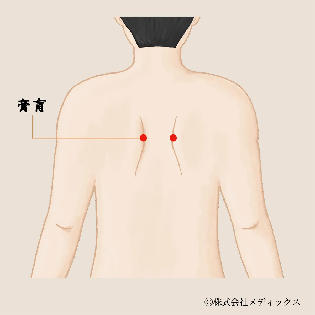 【膏肓】癒えぬ疲れと奥の痛みに届く、深層のツボ