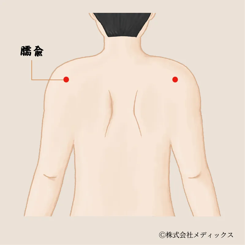 【臑兪】肩こりや上肢の痛みを緩和する重要なツボ