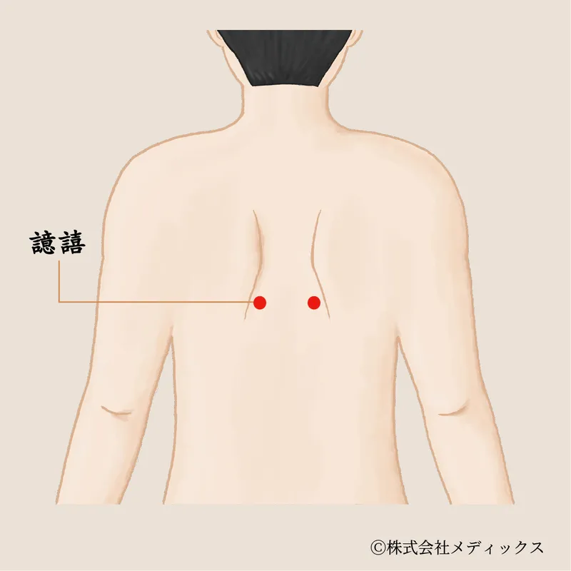 【譩譆】深い息と首肩の緊張をほどく、静かな背中のツボ