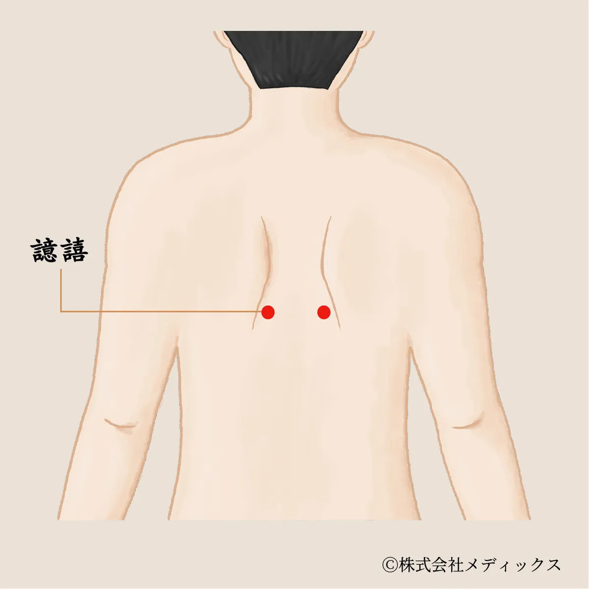 【譩譆】深い息と首肩の緊張をほどく、静かな背中のツボ