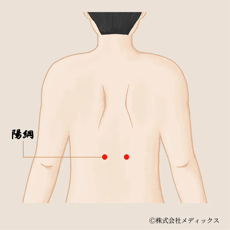 【陽綱】腰から足への流れを整える、下半身調整のツボ