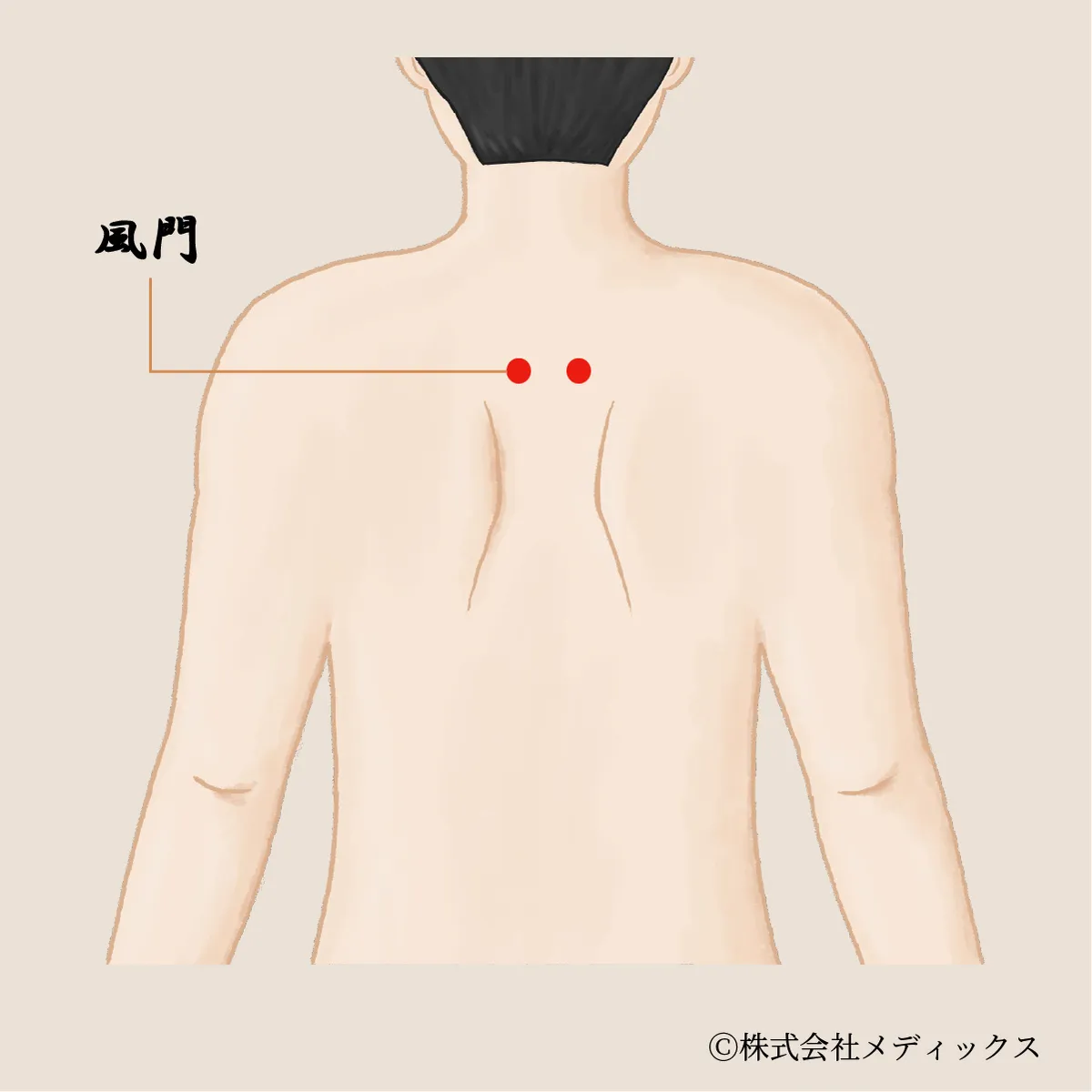 【風門】風邪の侵入を防ぐ背中の守りのツボ