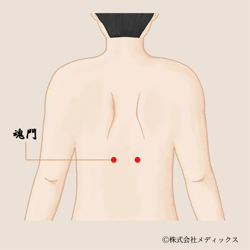 【魂門】肝のエネルギーを整え、情緒を安定させるツボ