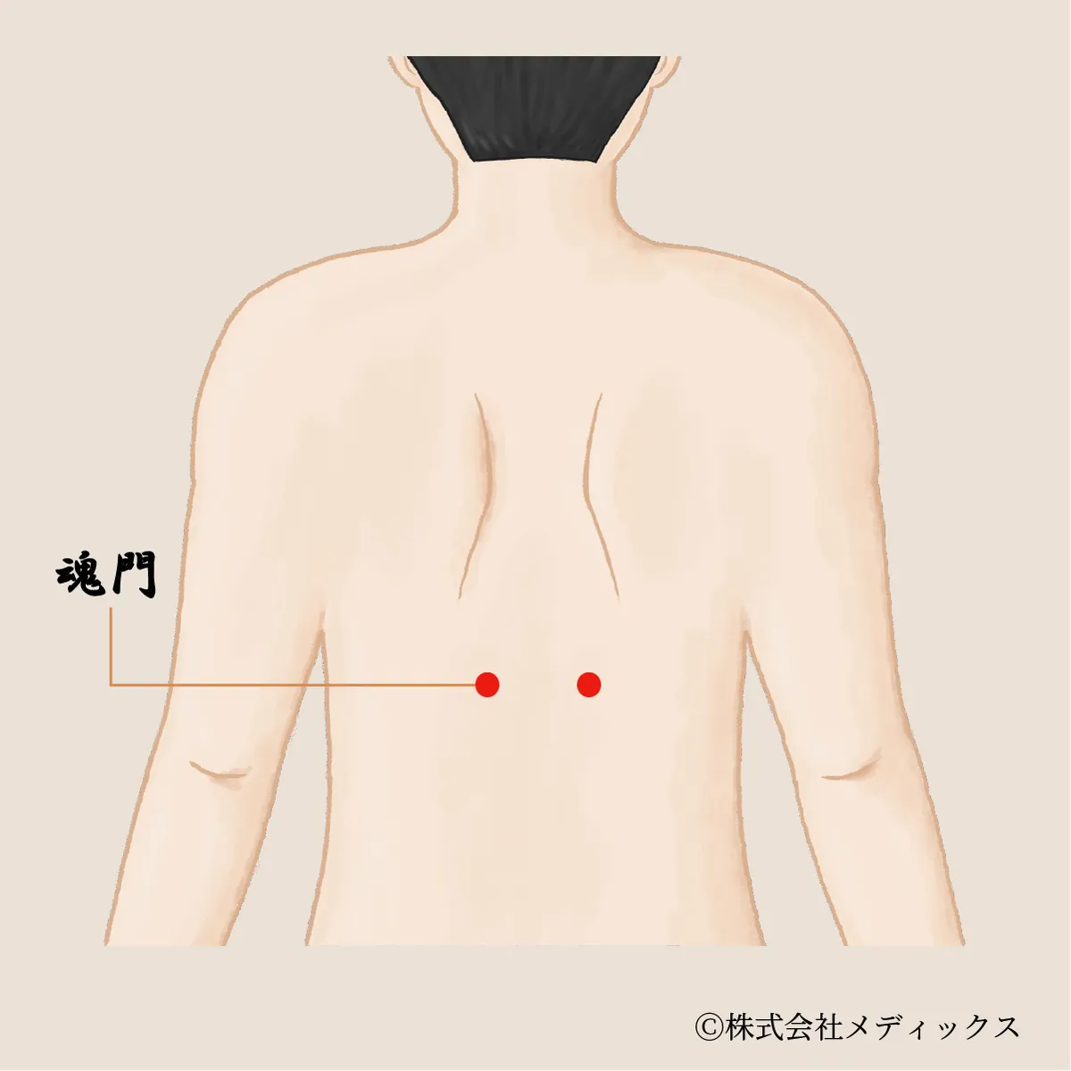 【魂門】肝のエネルギーを整え、情緒を安定させるツボ