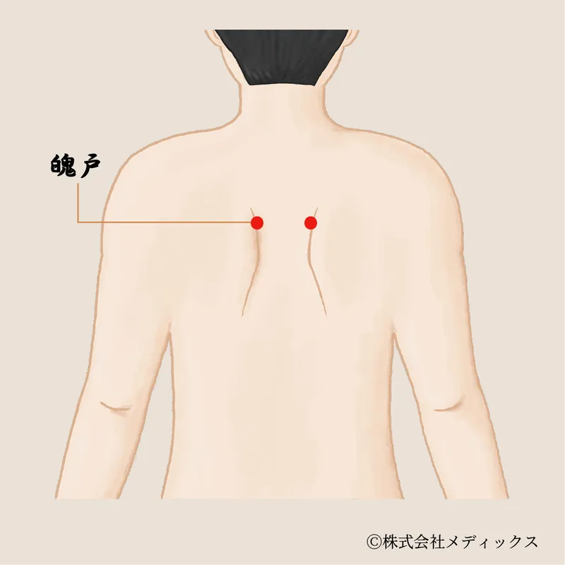 【魄戸】呼吸と心を整える、肺の気の出入り口となるツボ
