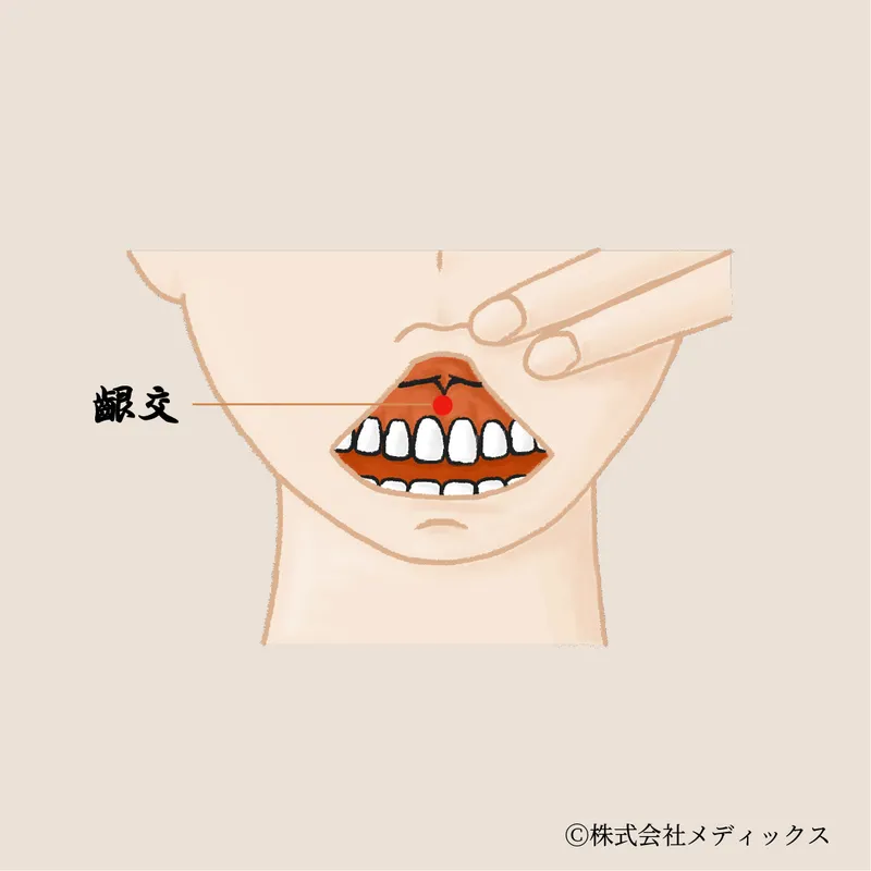 【齦交】口内と歯ぐきの不調を整える口腔の要ツボ