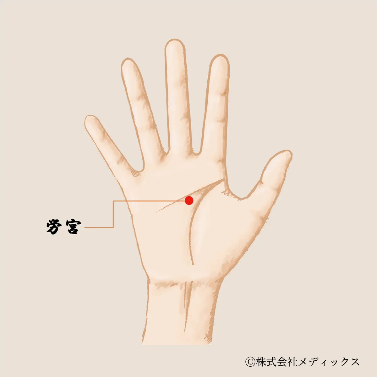 【労宮】心労と疲労を和らげる手のひらの重要なツボ