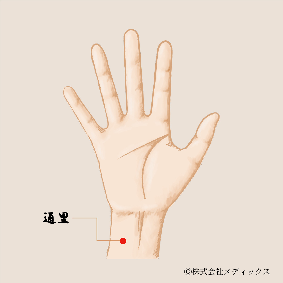 【通里】心と精神の調和を整える重要なツボ｜メディックスブログ