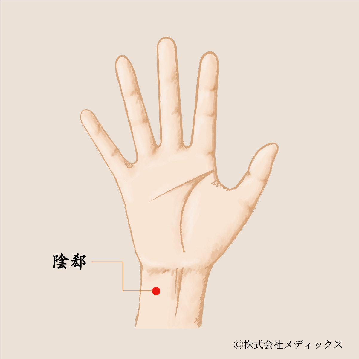 不整脈 の ツボ