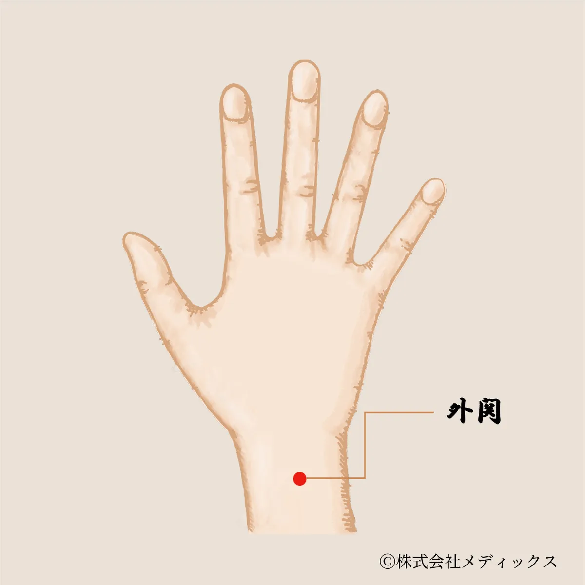 【外関】手の痛みとストレスを和らげる重要なツボ