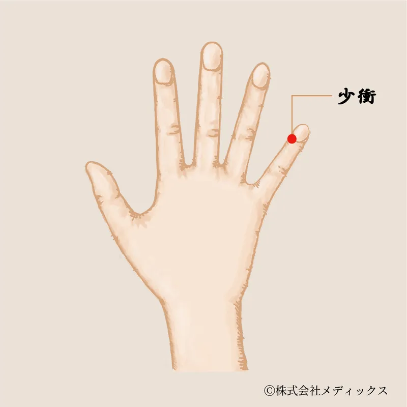 【少衝】心の働きを整える重要なツボ