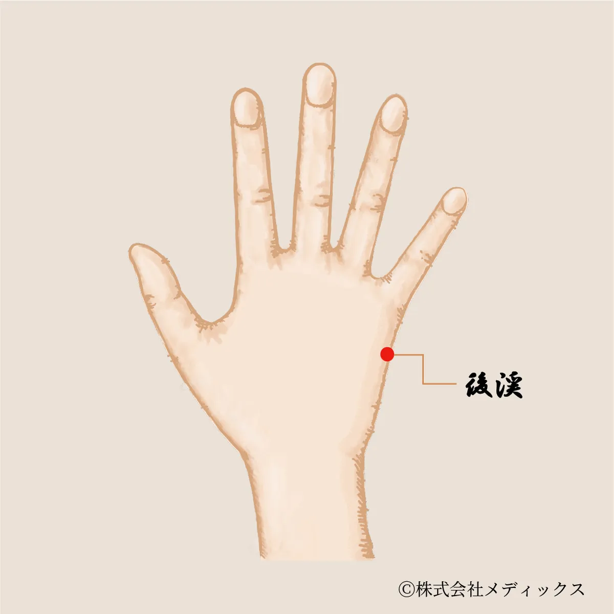 【後渓】精神の安定と頭痛改善に効果的なツボ
